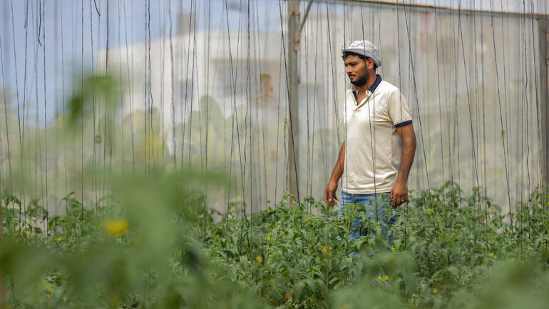 Nader, ein Bauer aus Gaza, in seinem Gewächshaus zwischen Pflanzen.