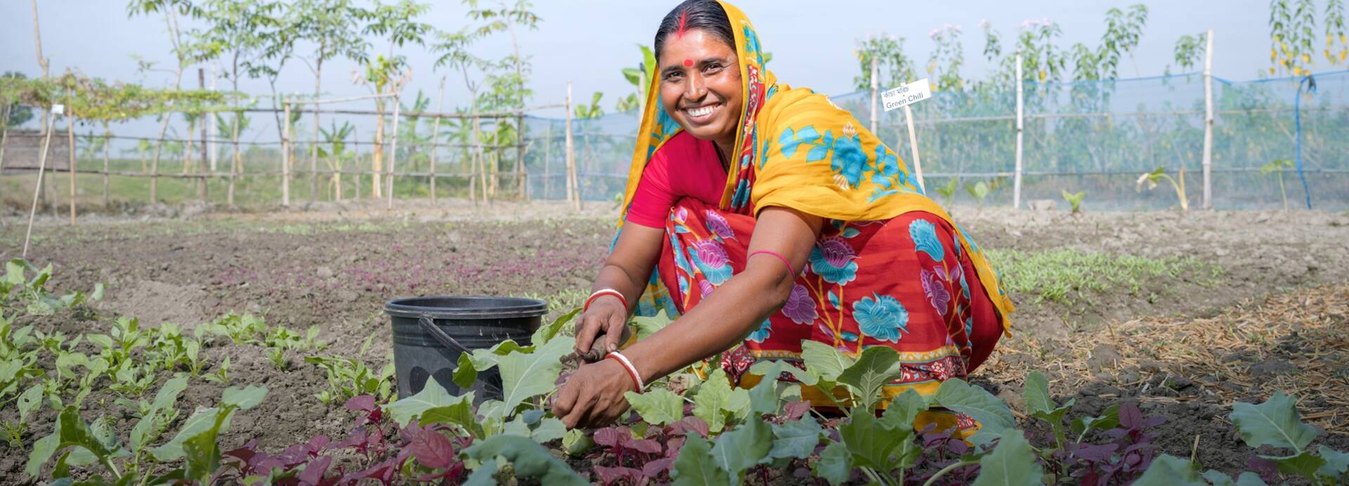 Rekha Rani Sarker arbeitet in ihrem Gemüsegarten in Satkhira, Bangladesch, und setzt klimaresiliente Anbaumethoden um.