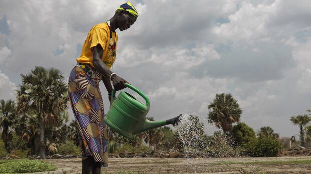 Eine Frau in Süsudan bewässert mit einer Gießkanne die angebauten Zwiebeln.